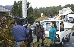 �Ԃǂ��̎��